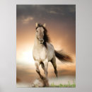 Sök efter equine posters Equestrian