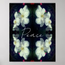 Sök efter peace posters Motivation