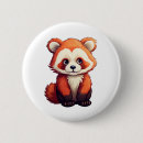 Sök efter tecknad panda knappar Björn