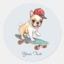 Sök efter french bulldog Hund