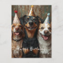 Sök efter grattis på födelsedagen från hunden vykort Festhatt