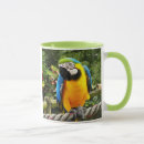 Sök efter macaw muggar Djur