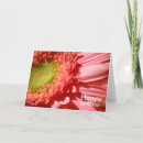 Sök efter rosa gerbera Elegant
