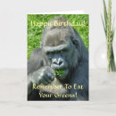 Sök efter gorilla fotografi Gorillor