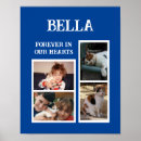 Sök efter husdjur tillbehör Katter