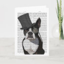 Sök efter boston terrier kort Djur älskare