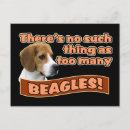 Sök efter beagles vykort Hund älskare