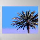 Sök efter palmtree posters Handflatan träd