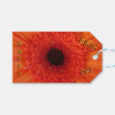 Sök efter orange gerbera Färgstark