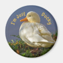 Sök efter ducky magneter Anka