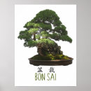 Sök efter bonsai träd posters Japan