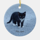 Sök efter tux hem presenter Katt