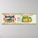 Sök efter frukt posters Samling