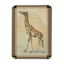 Sök efter afrika magneter Giraffe