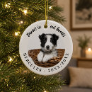 Sök efter husdjur ornament Människor (allmänt)
