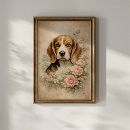 Sök efter beaglehund Valp