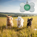 Sök efter husdjur Dogs