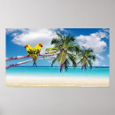 Sök efter grönt hav posters För dem