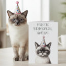 Sök efter katt födelsedagskort För kattägare