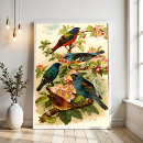 Sök efter zoologiskt posters Illustration