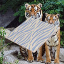 Sök efter randigt kakelplattor Människor (allmänt)