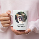 Sök efter rolig hund foto For pets