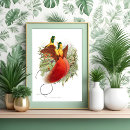 Sök efter hummingbird posters Illustration