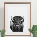Sök efter bison posters Porträtt