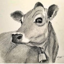 Sök efter jersey ko konst Människor (allmänt)