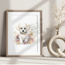 Sök efter bichon posters Söt
