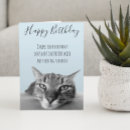Sök efter rolig katt kort Humor