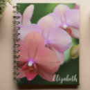 Sök efter rosa orchid fotografi Elegant