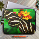 Sök efter zebra laptop skal Natur