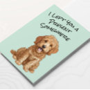 Sök efter goldendoodle Konstig