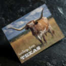 Sök efter texas vykort Longhorn