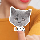 Sök efter till kattälskare klistermärken Cats