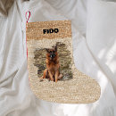 Sök efter julstrumpor For pets