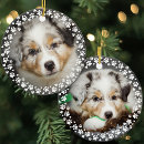 Sök efter husdjur ornament För alla