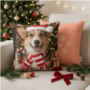Sök efter corgi kuddar Pembroke welsh corgi