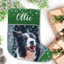 Sök efter julstrumpor For pets