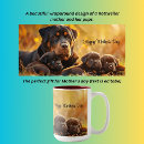 Sök efter rottweiler valp Hundar