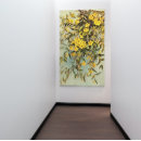 Sök efter jasmin posters Blomma