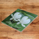 Sök efter dicentra Dicentra spectabilis