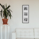 Sök efter posters Fotografi