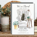 Sök efter bombay Katt