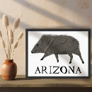 Sök efter arizona posters Modern