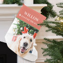 Sök efter hundar julstrumpor Dogs