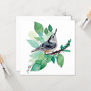 Sök efter bröst kort Människor (allmänt)