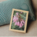 Sök efter angel fotografi Blommigt