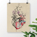 Sök efter anatomical posters Anatomiskt hjärta